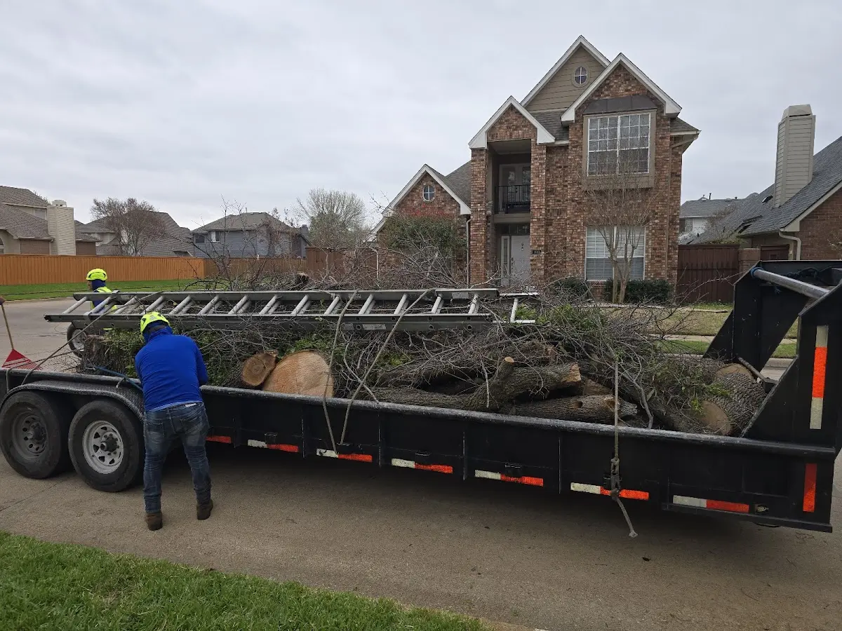 Expert Tree Fertilization with proper safety equipment in Nampa